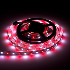 Fixed Competitive Price China High Quality SMD5050 Flexible RGB LED Strip Light (60LEDs/m)